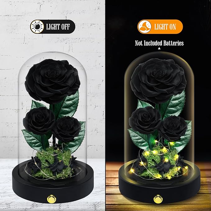 3 Preserved Flowers Roses in Glass Dome for Beauty and The Beast Decor Real Rosas Eternas for Women Mom Birthday,Forever Black Roses for Delivery, Christmas for Wife Girlfriend Her