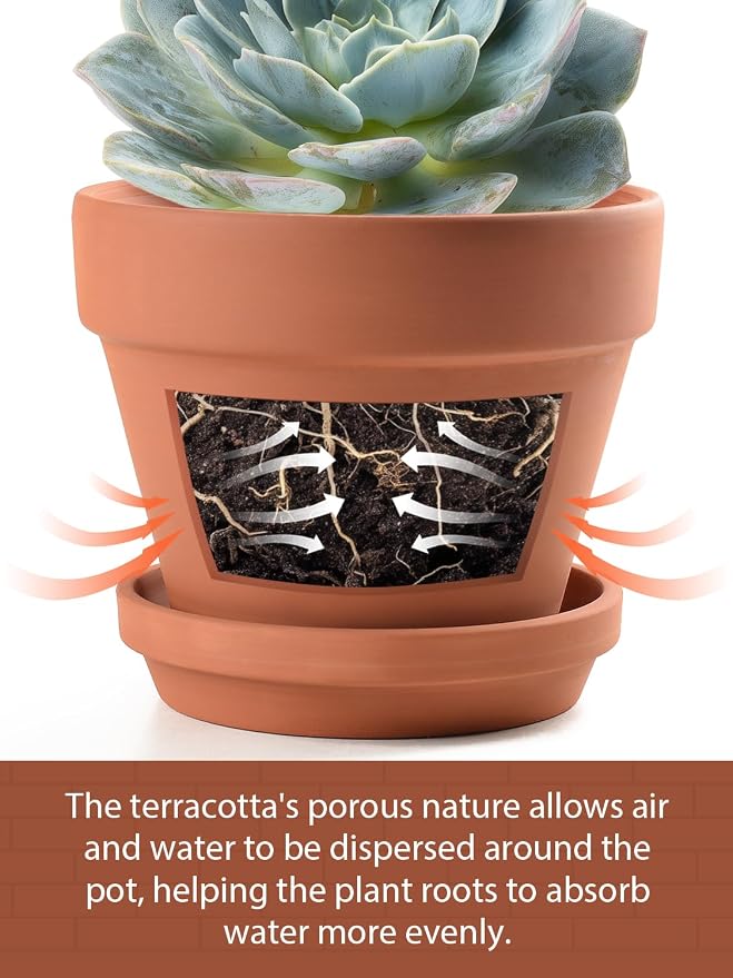 INGOFIN 4 Inch Terracotta Pots with Saucers, 8 Pack Shallow Clay Plant Pots with Drainage Holes for Succulents, Cactus, Herbs, Small Terra Cotta Pots for Indoor Outdoor, Set of 8