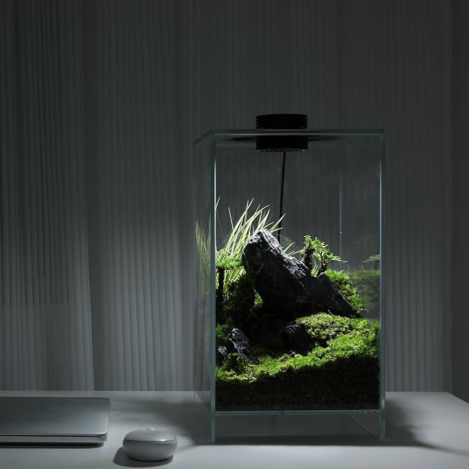Desktop Glass Plant Terrarium with Grow Light(L7.8 W7.8 H14), for Succulent, Moss, Miniature Gardening Landscape, Betta Fish Tank, Indoor Plant Growth, Office Home Decoration (TimeControlled)