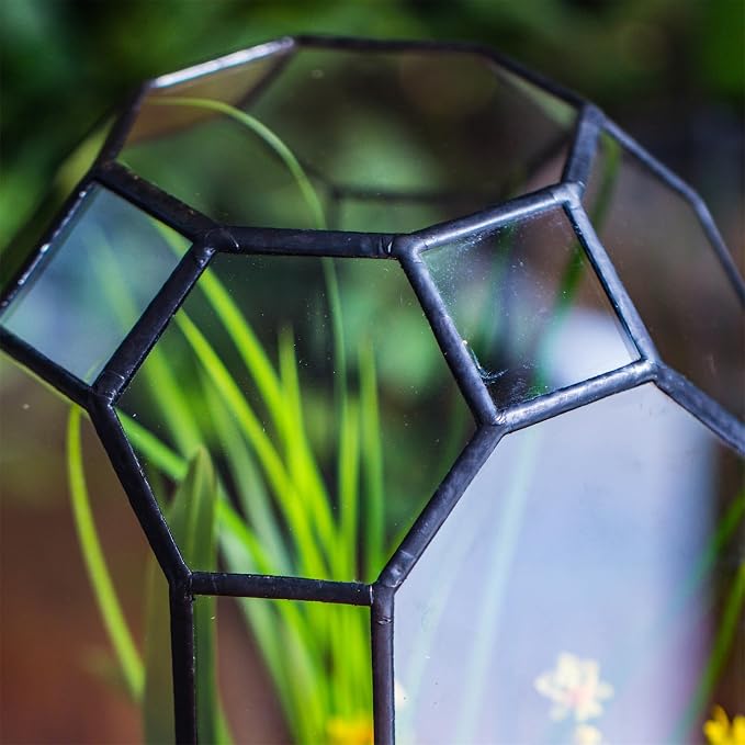 NCYP No Door Glass Geometric Octagon Open Terrarium 5.5"x5.5"x12.8" | Glass Planter for Tall Plants, Orchid, Small Begonia Pitcher, Home Garden Office Decor, Micro landscape (Terrarium Only)