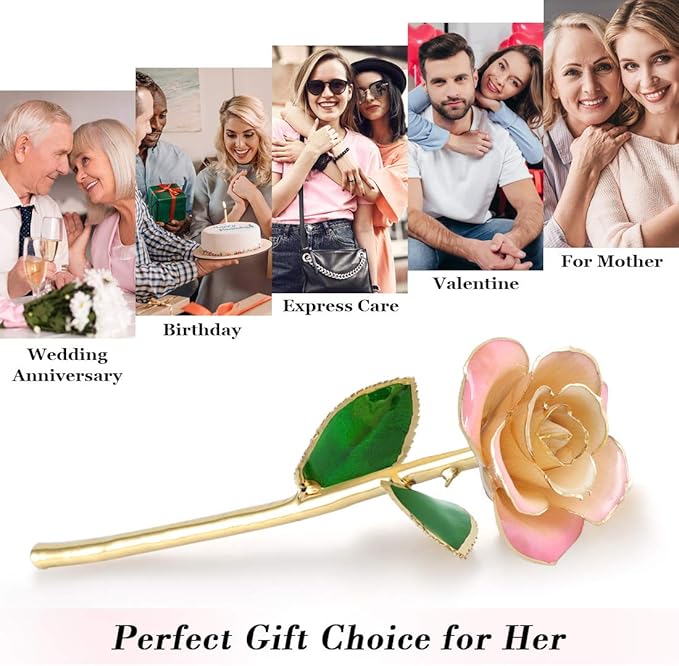 Ejoyous 24K Gold Rose, Forever Preserved Real Rose Lover Mom Wife Daughter Girl Friend, Unique Present on Mother's Day, Wedding Anniversary, Birthday, Proposal, Reward (White