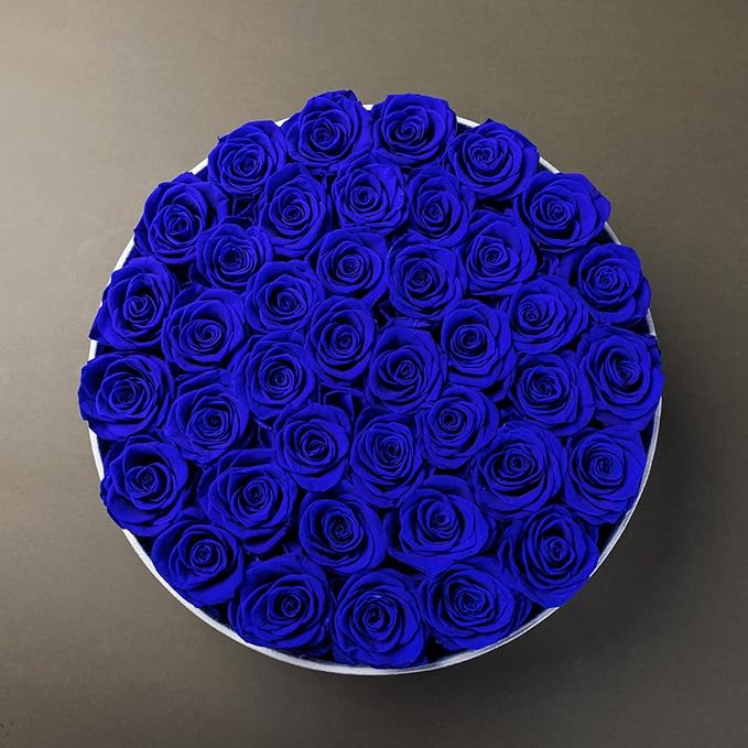 Gifts for Women Preserved Roses Flower Box, Luxury Velvet Box with 40 Roses, Preserved Flowers, Romantic Gift for Her, Wife, Girlfriend, Birthday Anniversary Christmas (Royal Blue)