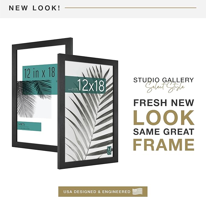 MCS Studio Gallery 12x18 Picture Frame Black Woodgrain Engineered Wood, Rectangle Photo Frame for Photos, Posters & Art Prints (2-Pack)