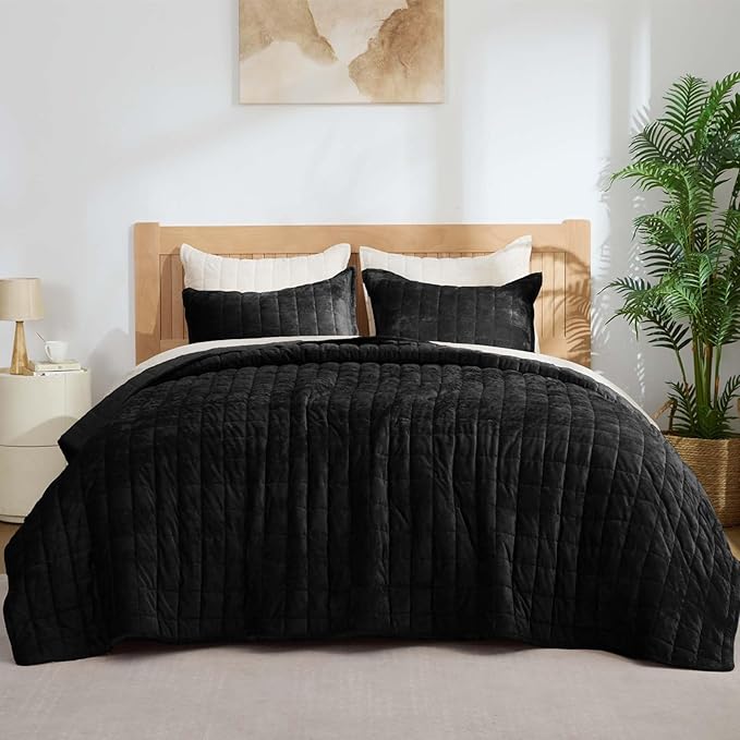 BEDELITE Velvet Quilt Set Queen Size - Luxury Soft Velvet Comforter Bedding Set for All Season, Lightweight Quilted Box Stitch Oversized Bedspread Coverlet with 2 Matching Shams, Black