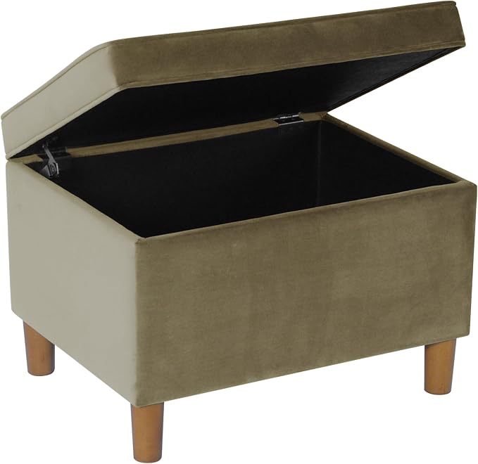 HomePop 24" Dinah Collection Storage Ottoman - Light Sage Green Velvet