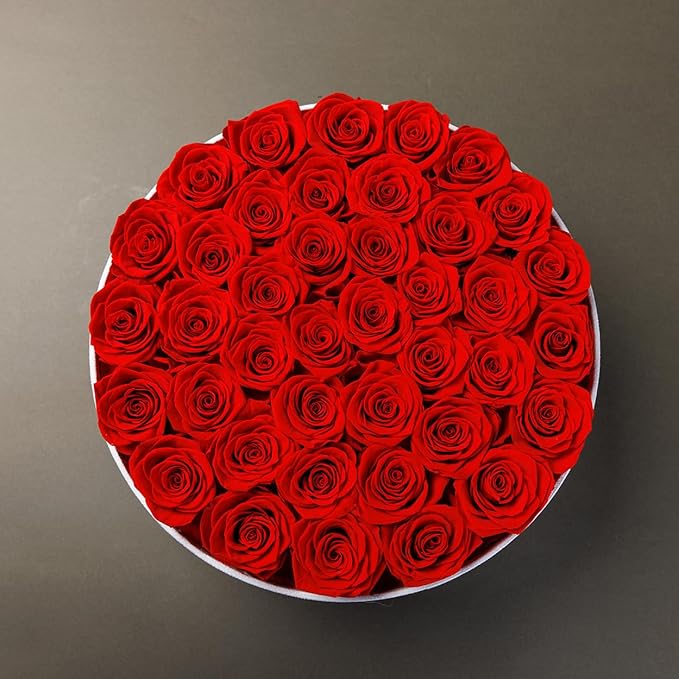 Gifts for Women Preserved Roses Flower Box, Luxury Velvet Box with 40 Roses, Preserved Flowers, Romantic Gift for Her, Wife, Girlfriend, Birthday Anniversary Christmas (Red)