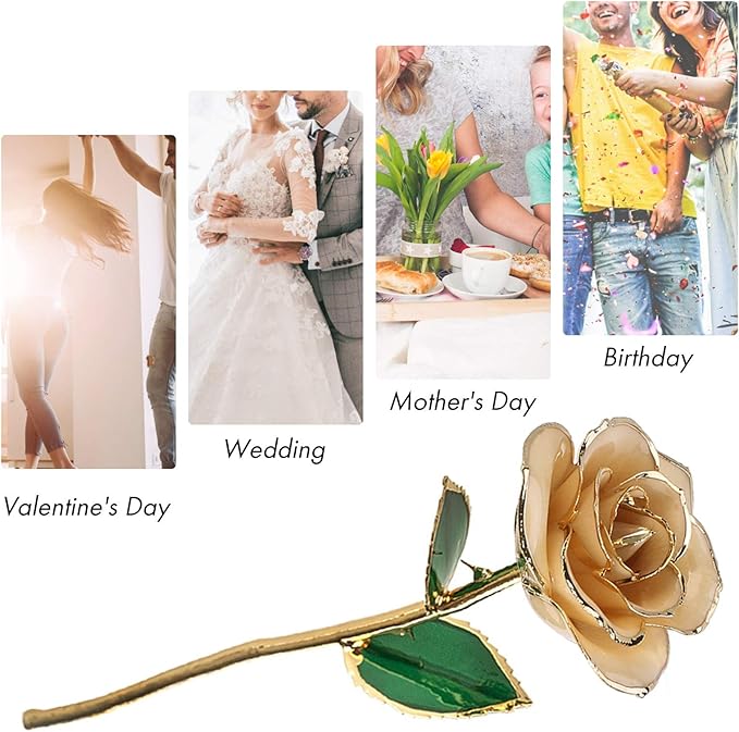 24k Gold Dipped White Rose Long Stem Forever Preserved Rose Flower, Gift for Her, Mom, Wife on Valentine's Day/Mothers Day/Christmas/Birthday/Anniversary/Wedding