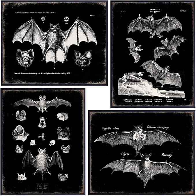 Black Bats Gothic Wall Decor - Vintage Retro Wall Art & Decor - Room or Home Decor - Hipster decoration - Horror Vampire bat Gift - Creepy Scary Anatomical Picture Poster print Set 8x10 UNFRAMED
