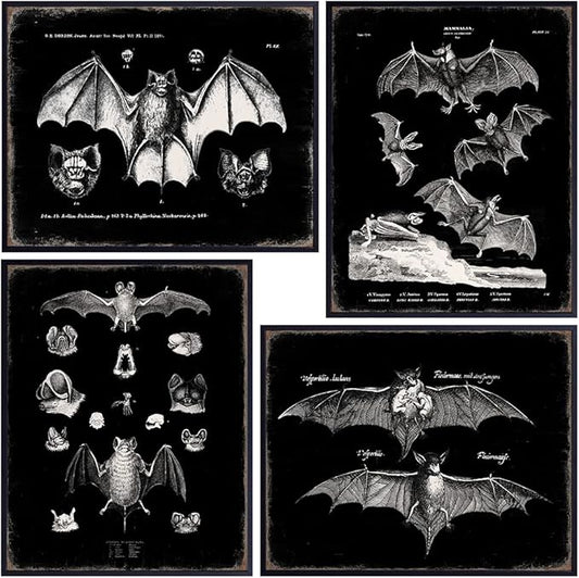 Black Bats Gothic Wall Decor - Vintage Retro Wall Art & Decor - Room or Home Decor - Hipster decoration - Horror Vampire bat Gift - Creepy Scary Anatomical Picture Poster print Set 8x10 UNFRAMED