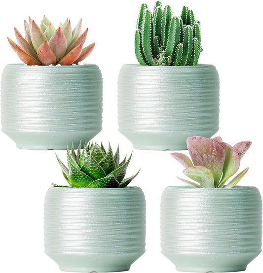 Mini Succulent Planter Set – 3.7 Inch Ceramic Pots with Drainage for Indoor Plants, Small Decorative Flower Pots for Cactus and House Plants, Set of 4