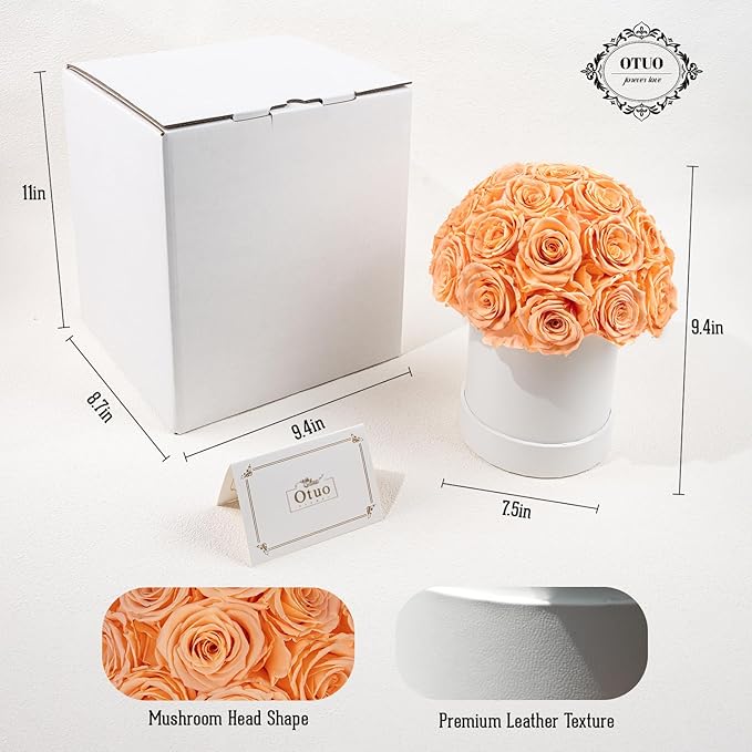 27 Preserved Roses in Round Dome Shape, Mother's Day Real Forever Flowers Rose Box, Eternal Rose Gift for Her Women Girl Friend Wife, Flower Gift for Valentines Day(Champagne)