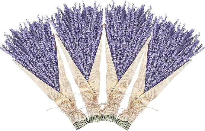 Dried Lavender Bundles, Uieke Natural Dried Lavender Flowers 520-560 Stems 16“ for Home Weeding Decoration Flower Arrangements Photo Props Home Fragrance 4 Bundles