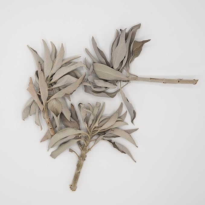 Worldwide Botanicals 100% Pure California White Sage Clusters, 2 oz - Sustainably Cultivated, Loose Leaf, 2 Ounces