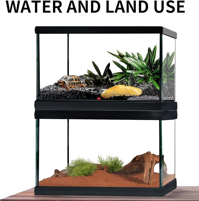 Reptile Glass Terrarium Tank 12"*8"*6",Small Cage Full View with Top Screen Ventilation Habitat Enclosure for Tarantula,Frog,Gecko,Insects,Spiders,Snakes,Hermit Crab,Turtle,Fish