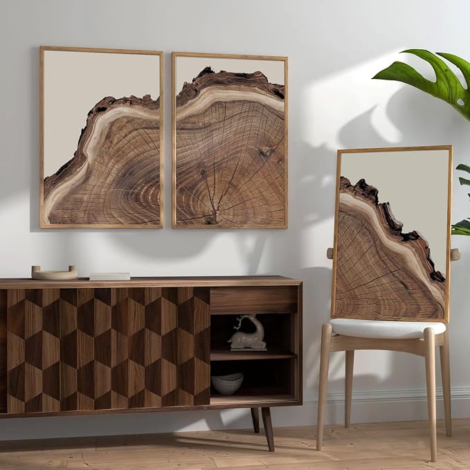 SIKERIC Framed Nature Tree Ring Wall Art, (24X36 inch) Modern Wood Stump Canvas Wall Art Set Of 3,Large Wood Tree Spiral Art Prints, Abstract Wall Painting for Living Room, Bedroom, Office