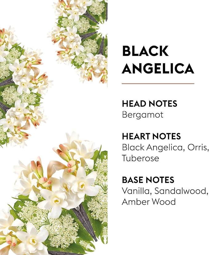 MAISON BERGER Black Angelica Lampe Berger Refill, 500 ml (16.9 fl oz), 2-in-1 Catalytic System, Neutralizes Odors and Diffuses Fragrance, Bergamot, Black Angelica, Vanilla, Made in France