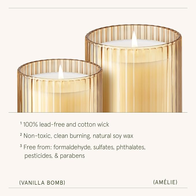 LA JOLIE MUSE Vanilla Zest Scented Candles for Home, 11 oz Natural Soy Wax | Luxury Jar Candle, Clean Non Toxic, Gift for Women & Men, Decorative Candles for Candle Warmer, Lemon Coconut Bergamot