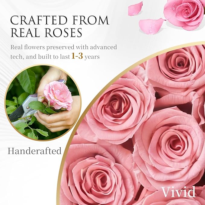Forever Flowers Preserved Roses - 27 Preserved Flowers for Delivery, Forever Pink Rose Gifts for Women Mom Gifts for Birthday Anniversary Flower Gift for Women Wife Her Grandma Mothers Day