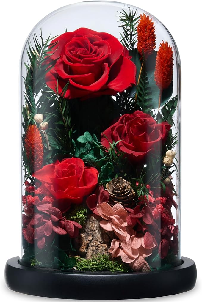 Preserved Roses,Forever Fresh Flowers 7.48in,Gift for Women,Mom,Grandma,Wife,Girlfriend,Sister,and Daughter Perfect for Birthday,Mother’s Day,Valentine’s Day (True Romance1)