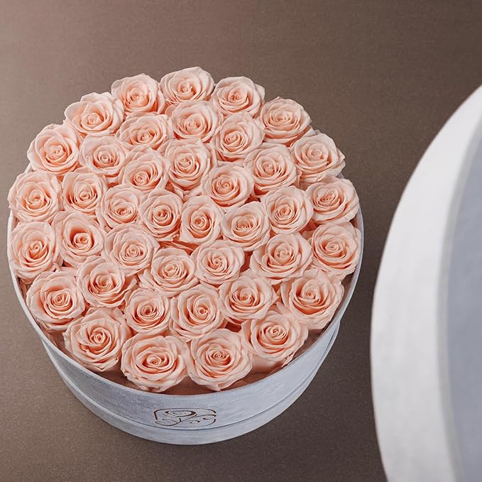 Gifts for Women Preserved Roses Flower Box, Luxury Velvet Box with 40 Roses, Preserved Flowers, Romantic Gift for Her, Wife, Girlfriend, Birthday Anniversary Christmas (Peach Pink)