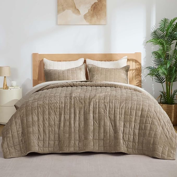BEDELITE Velvet Quilt Set Queen Size - Luxury Soft Velvet Comforter Bedding Set for All Season, Lightweight Quilted Box Stitch Oversized Bedspread Coverlet with 2 Matching Shams, Tan