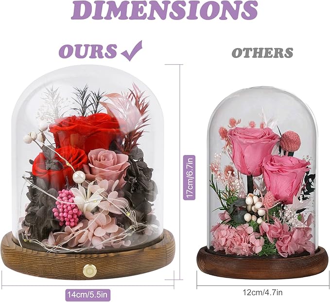 Large Preserved Flowers with Card&Box-Flowers for Delivery Prime,Eternal Rose with Lights,Roses in Glass Dome,Romantic Gift for Her,Decoration, Fresh Rose Flowers for Mom, Birthday, Anniversary (Red)