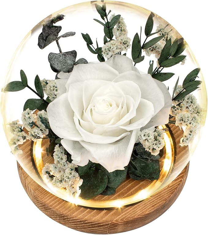 Preserved Roses & Preserved Flowers Gift for Women, Roses that Last Forever, Flowers for Delivery Prime, White Roses – Birthday, Mother’s Day &Valentine