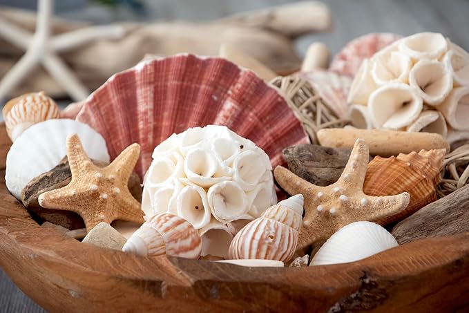 ANDALUCA Maison Box Fragrance Potpourri Decorative Vase & Bowl Filler Home Décor (Coastal Seashells)