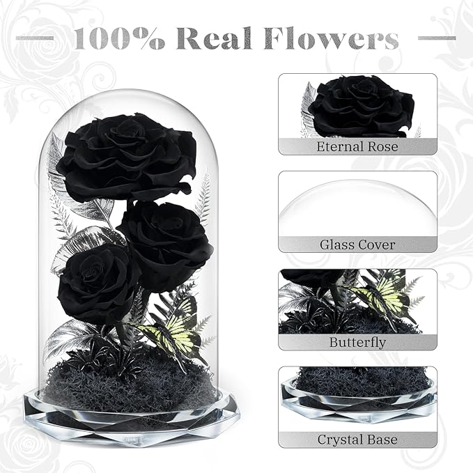 Forever Flowers in Glass Dome - Preserved Roses, for Her Women Valentine's Day, Mother's Day, Anniversary A-Grade Black Roses, Home Decor for Girlfriend, Wife, Sister, Mom (Black)