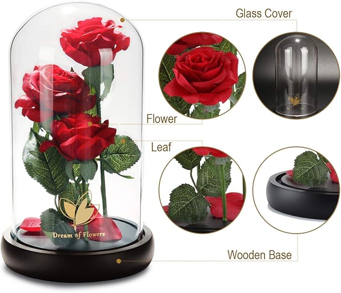 Beauty and The Beast Rose, Classic Red Rose with LED Lights and Falling Petals, Gifts for Women, Birthday Gifts for Women, Light Up Rose in Glass Dome, Valentine's Day Gifts for her
