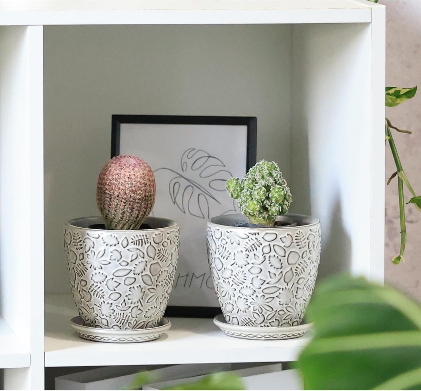 4 Inch Mini Plant Pots, Ceramic Succulent Planter with Drainage Hole and Saucers for Indoor Plants, Small Garden Pots for Succulent, Herb and Flower, Set of 4