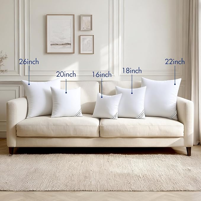 MIULEE 16x16 Inch Pillows Inserts, Pack of 2 Down Alternative Virgin Filling Comfy Support Throw Pillows for Sofa Couch Bed