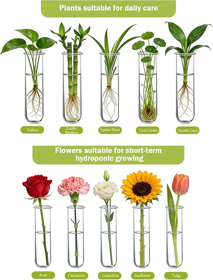 XXXFLOWER Wall Hanging Propagation Station with Wooden Stand 5 Glass Test Tubes 3 Tiered Planters Wall Terrarium for Home Office Plant Hanger Flower Vases Wall Decor Hydroponic Cuttings