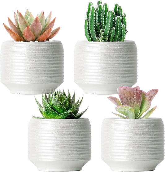 Mini Succulent Planter Set – 3.7 Inch Ceramic Pots with Drainage for Indoor Plants, Small Decorative Flower Pots for Cactus and House Plants, Set of 4