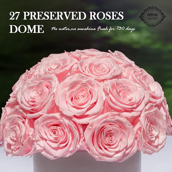 27 Preserved Roses in Round Dome Shape, Mother's Day Real Forever Flowers Rose Box, Eternal Rose Gift for Her Women Girl Friend Wife, Flower Gift for Valentines Day(Pink)