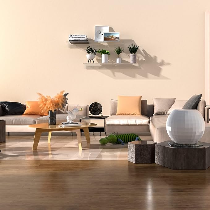 Sezanrpt Acrylic Wall Shelves 36 24 12 Inches, Clear Floating Shelf for Wall, Wall Mounted Display Shelves for Plants, Radio, Funko Pop, Stuffed Animal, Books, Clock, Cosmetics, Toiletries