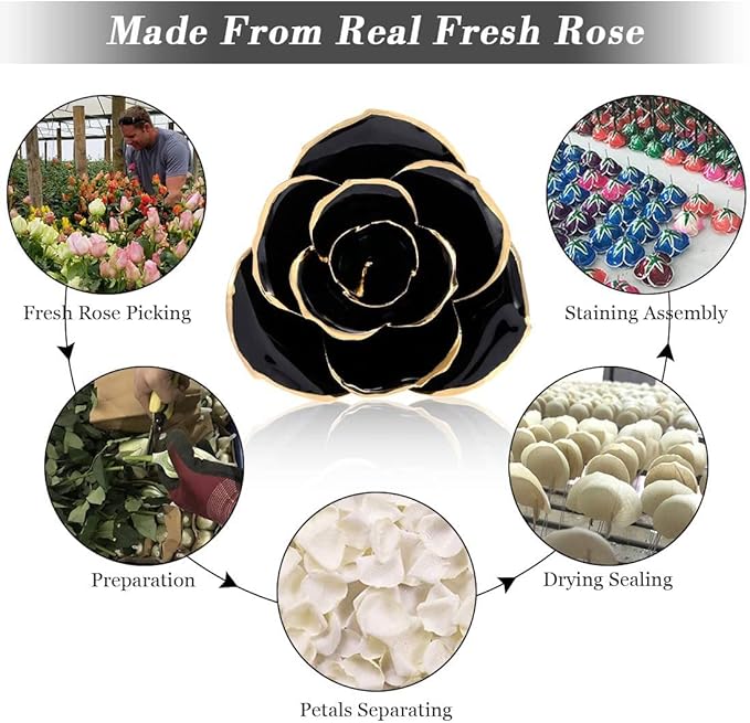 24K Gold Dipped Black Rose Long Stem Forever Preserved Rose Flowers, Christmas Day Valentine's Day Anniversary Birthday for Her Women Wife Mother Girlfriend, Black Rose with Stand