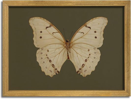 Wood Framed White Butterfly Wall Art, Vintage Butterfly Oil Paintings, Dark Moody Insect Canvas Prints, Boho Sage Green Wall Decor, for Bedroom Kitchen Bathroom Cottagecore Room Decor - 12x16 Inch