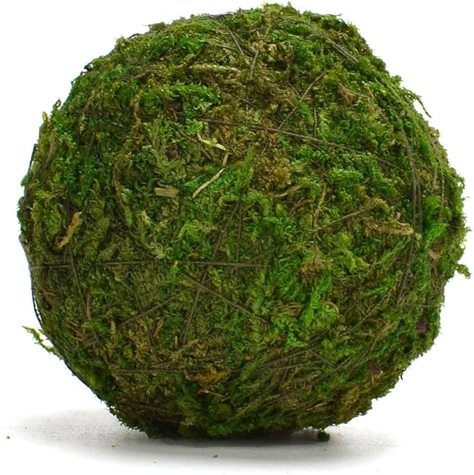 BYHER Natural Green Moss Decorative Ball,Handmade (2"-Set of 12)