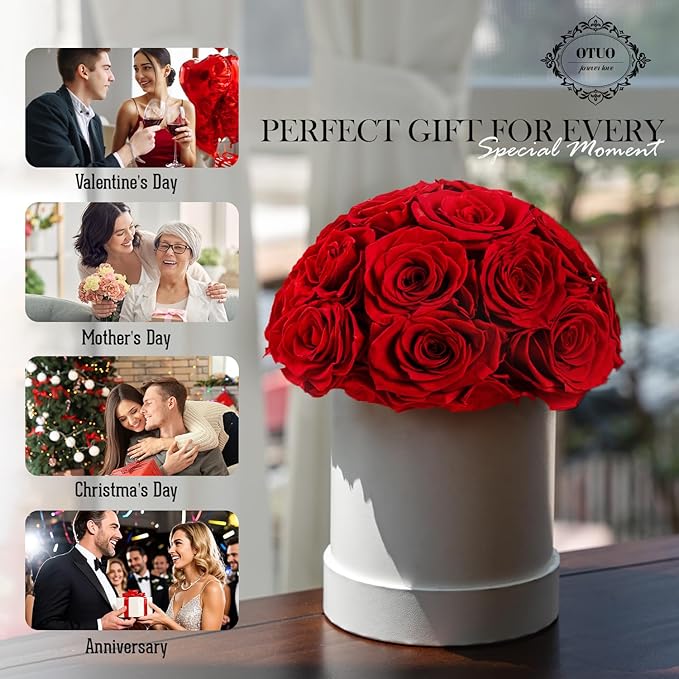 18 Preserved Roses in Round Dome Shape, Mother's Day Real Forever Flowers Rose Box, Eternal Rose Gift for Her Women Girl Friend Wife, Flower Gift for Valentines Day(Red)