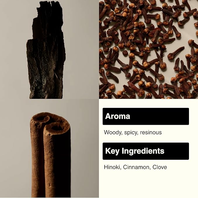 Aesop Murasaki Aromatique Incense Sticks | Woody and Spicy Aroma of Hinoki & Cinnamon| 33 Sticks, 30-Min Burn Time | Includes Kanuma Pumice Holder | Vegan, No Synthetic Fragrance