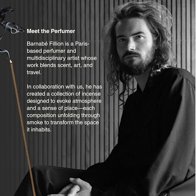 Aesop Murasaki Aromatique Incense Sticks | Woody and Spicy Aroma of Hinoki & Cinnamon| 33 Sticks, 30-Min Burn Time | Includes Kanuma Pumice Holder | Vegan, No Synthetic Fragrance