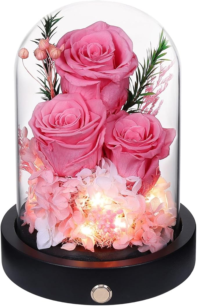 Forever Flowers Gifts for Women,Preserved Roses in Glass Dome, Eternal Flowers for Delivery Prime, Real Pink Roses,Anniversary Birthday Valentines Day Gifts for Wife Her