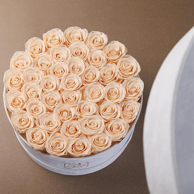 Gifts for Women Preserved Roses Flower Box, Luxury Velvet Box with 40 Roses, Preserved Flowers, Romantic Gift for Her, Wife, Girlfriend, Birthday Anniversary Christmas (Buttermilk)