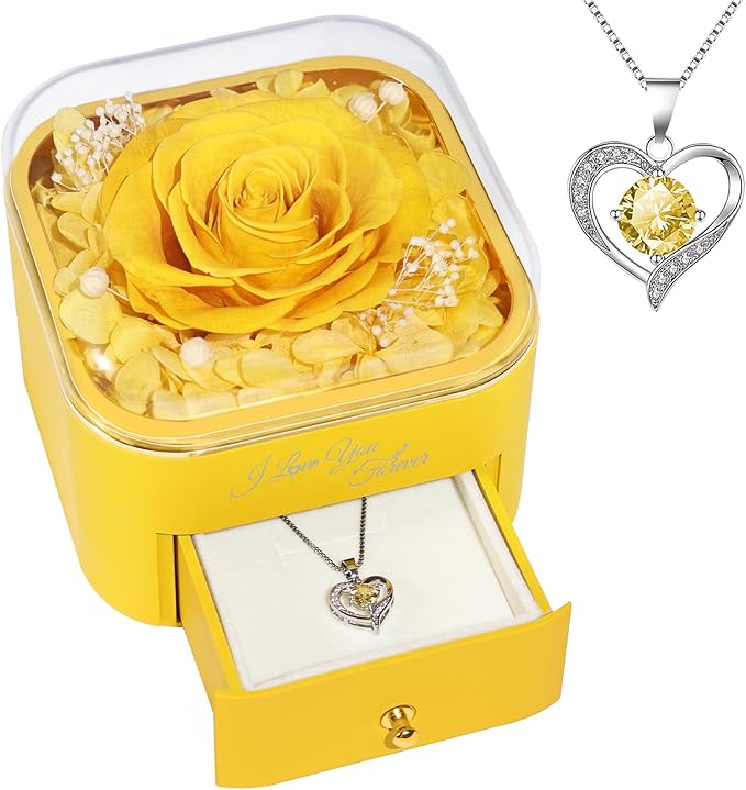 Beferr Birthday Gifts for Women Preserved Real Rose with Necklace Eternal Roses Forever Flowers for Delivery Anniversary Mothers Gifts for Mom Her Grandma Wife Sister from Daughter Son