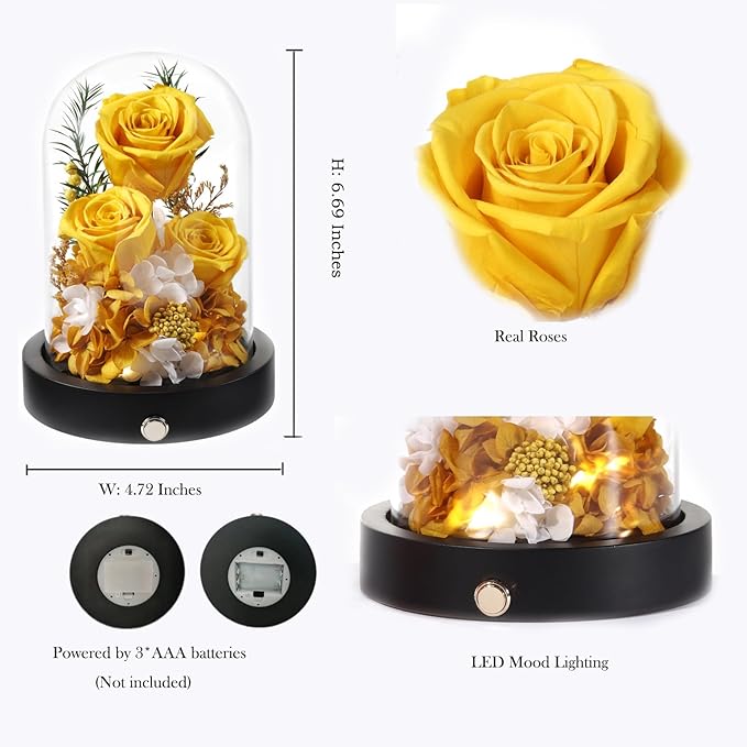 Preserved Flowers in Glass Dome with LED, Forever Yellow Roses for Delivery, Valentines Day Anniversary Birthday Mothers Day Flower Gifts for Mom Her Women Wife Mother