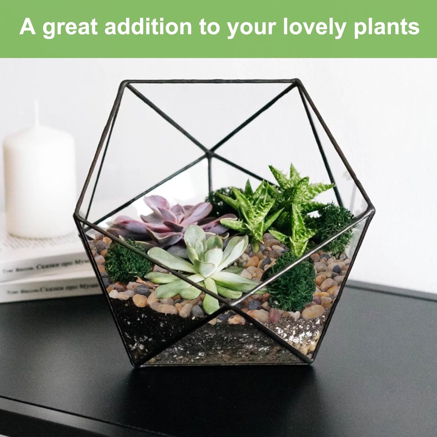 5 lbs Drainage Rocks for Potted Plants, 1/5 Inch Small Pebbles for Indoor Plants, Decorative Gravel for Vases, Bamboo, Succulent, Terrarium, Crafts, Cactus