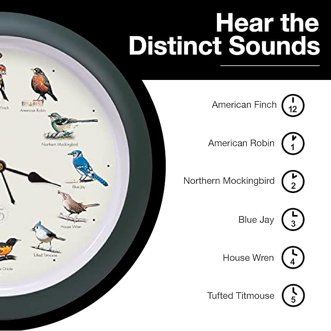 Mark Feldstein, The Original Singing Bird Clock, 25th Anniversary Edition, 13 Inch, Green