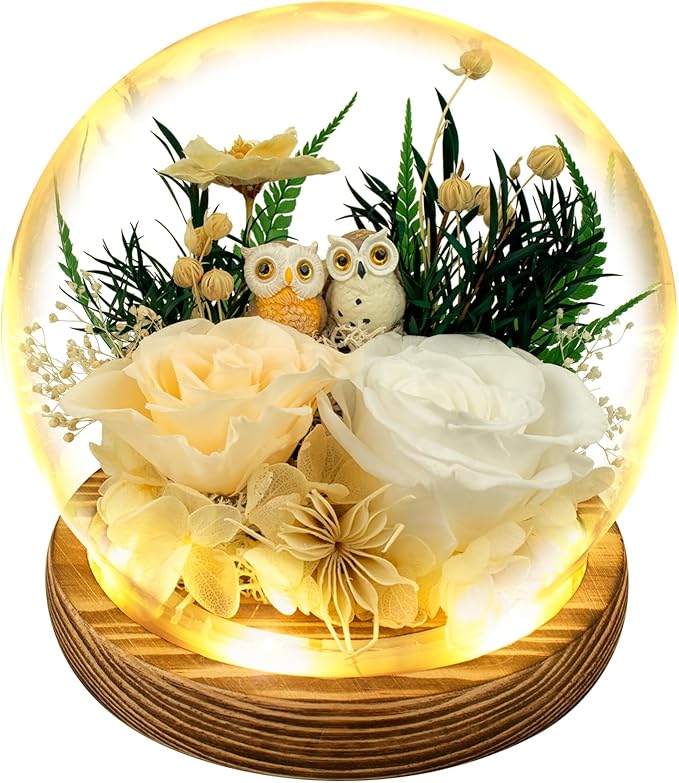Preserved Flowers Roses Gift for Mom, Wife, Grandma - Forever Real Roses with Owl Decor - Unique Birthday, Mothers Day Gifts for Women - Flower for Delivery