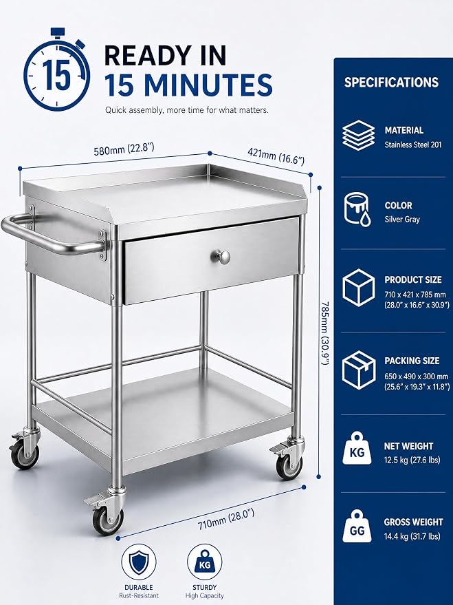 Metal Rolling Cart with 360° Silent Wheels, 220 lbs Capacity Utility Cart, 2-Tier Medical Cart with Handle & Lockable Casters for Lab, Clinic, Kitchen, BBQ Party, Salon